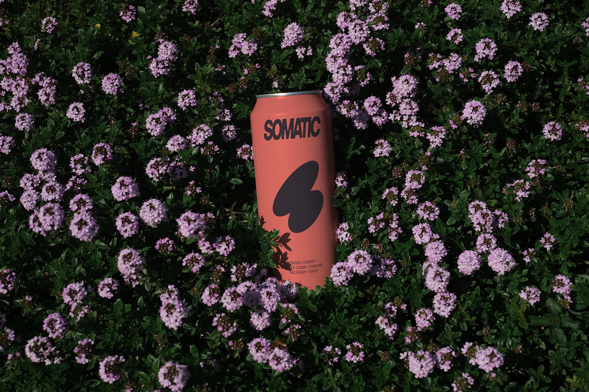 Somatic  - A conceptual brand built with AI Image 10