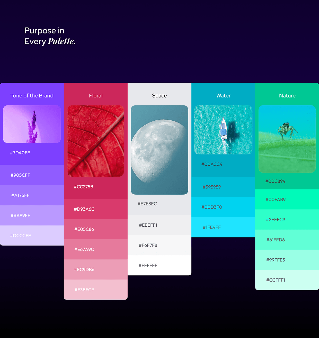 Design Monks- UX/UI Agency Brand Identity & Logo Design Image 11