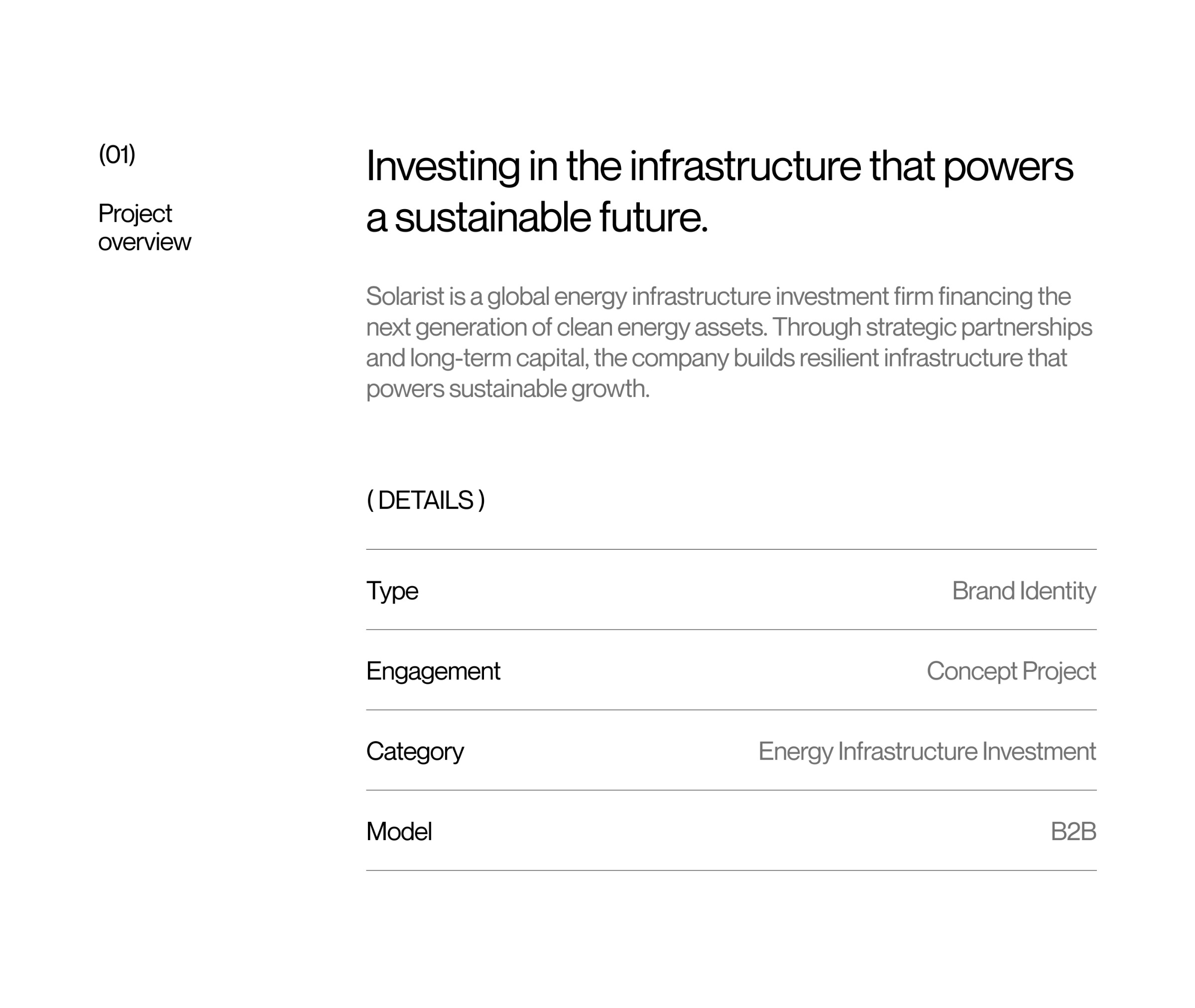 Solarist — Energy Infrastructure Investment Brand Identity Image 0