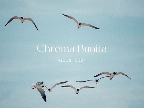 Chroma Bunita