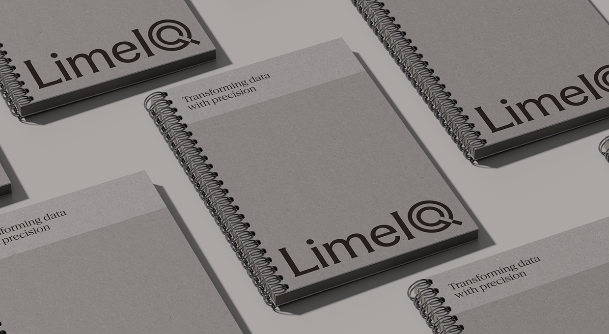 LimeIQ Visual Identity Insurance SaaS Image 2