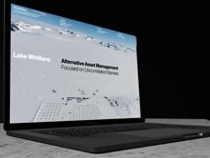 Lake Whillans Web Design Law & Consulting