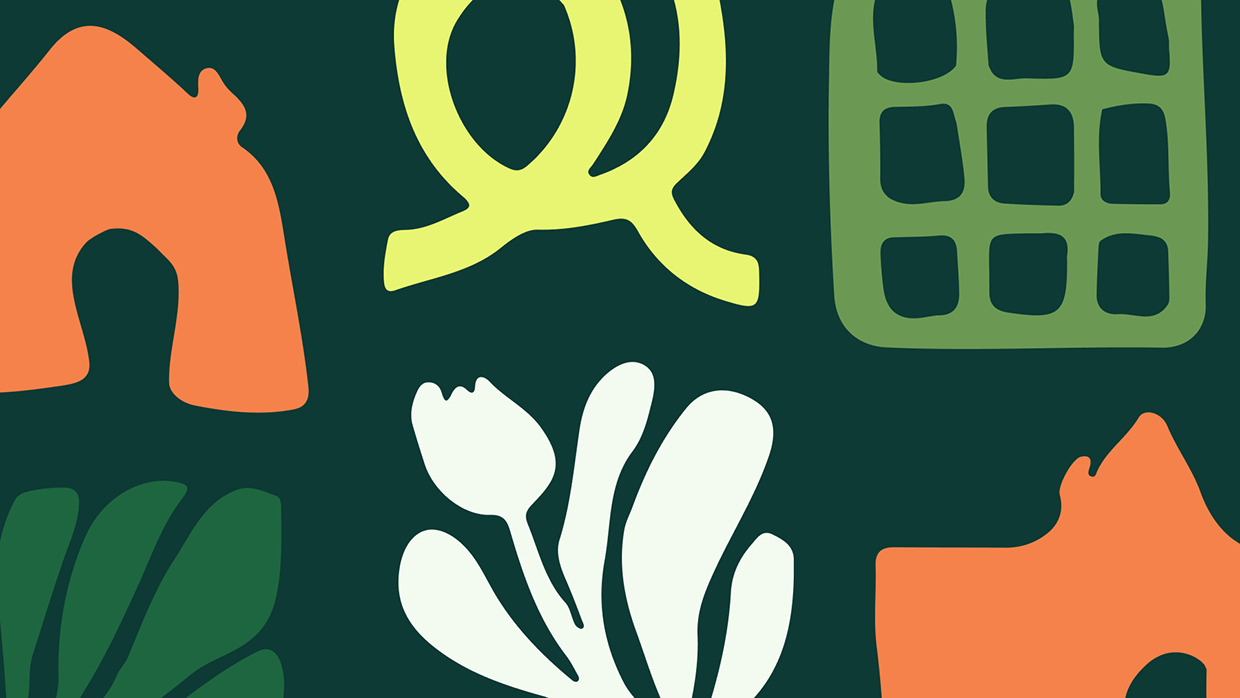 Regina · Brand & Website redesign Image 4