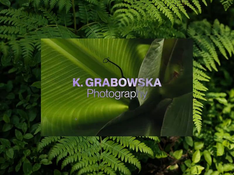 Portfolio Website - Karolina Grabowska Vol 03 by Maria Rakovic