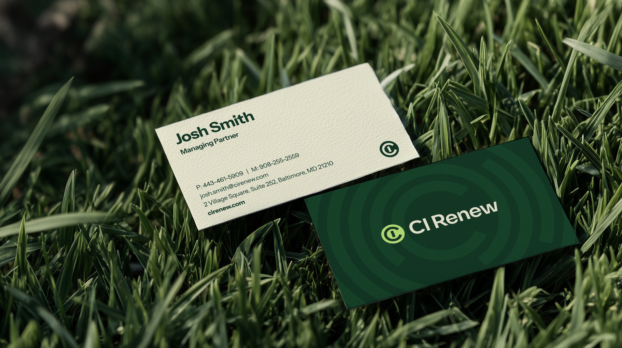 CI Renew Image 2