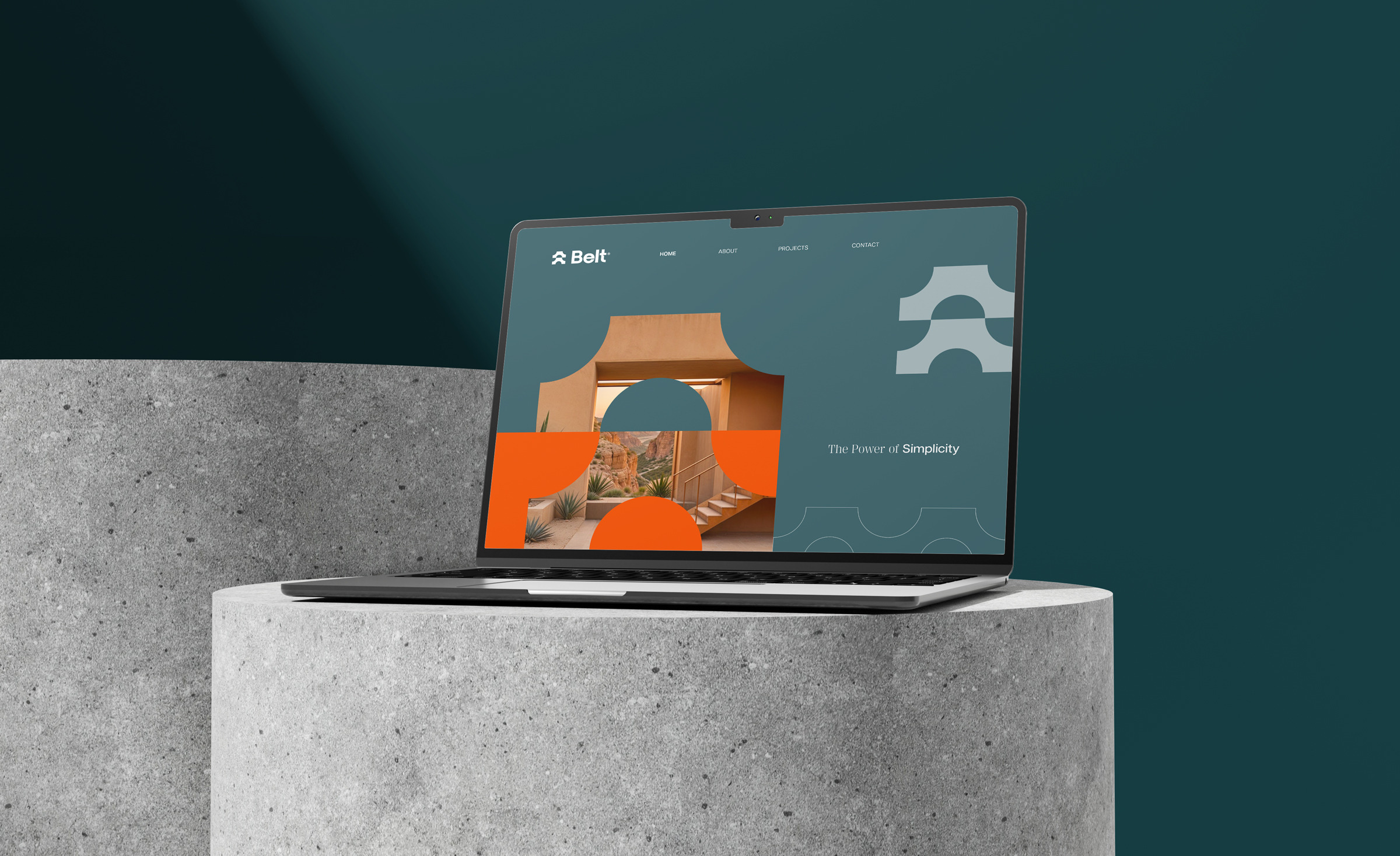 Belt — HIGH BRANDING by Lanni Studio Image 12