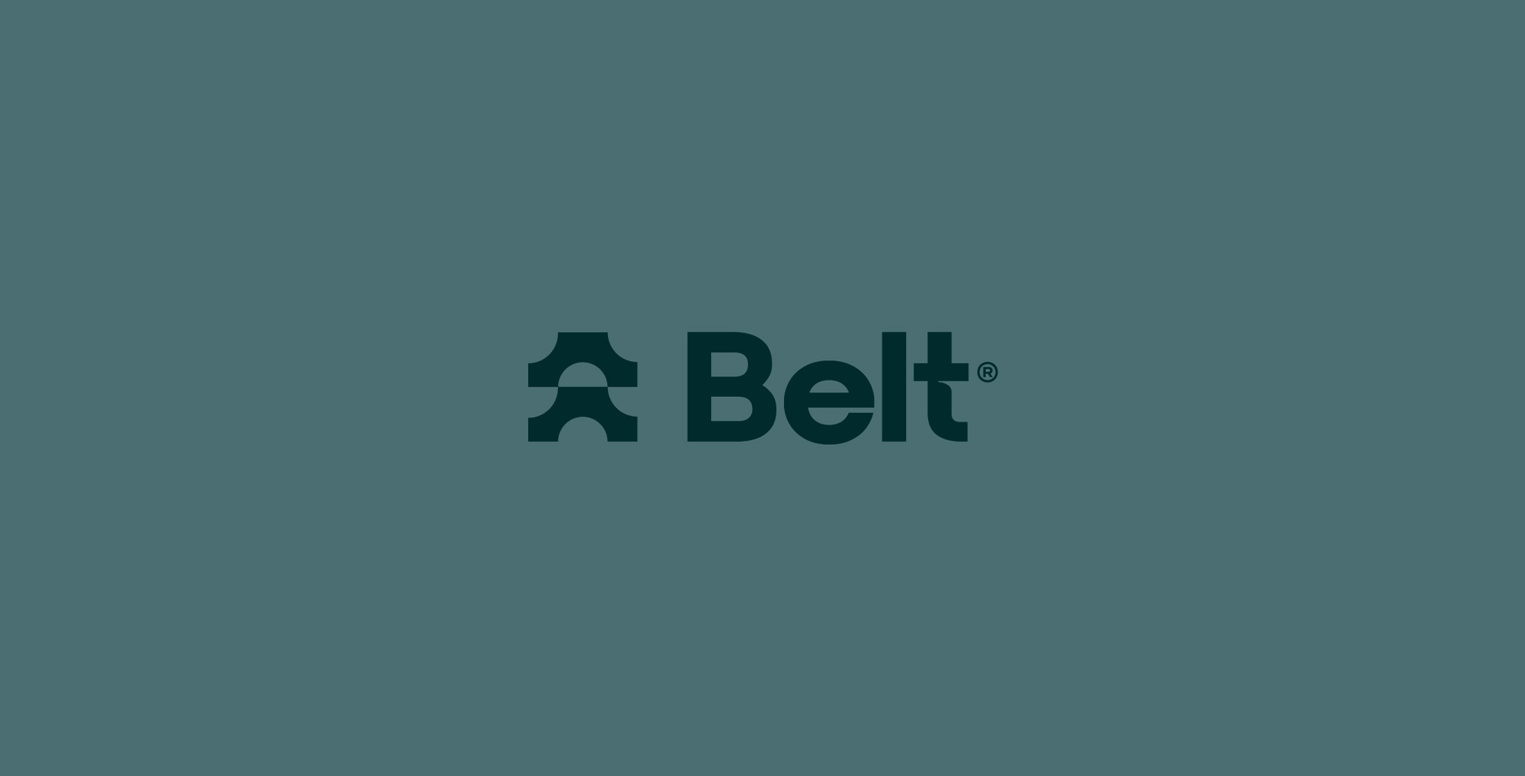 Belt — HIGH BRANDING by Lanni Studio Image 14
