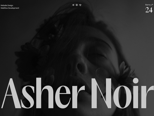 Ash Noir — Photographer Portfolio Website